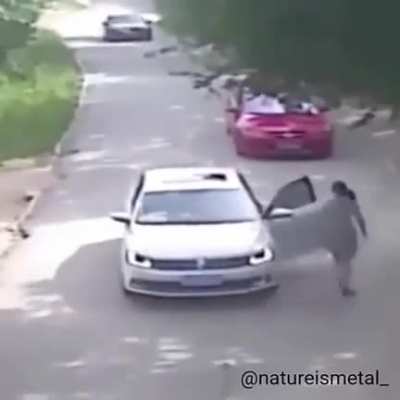 Look Ma, no hands!