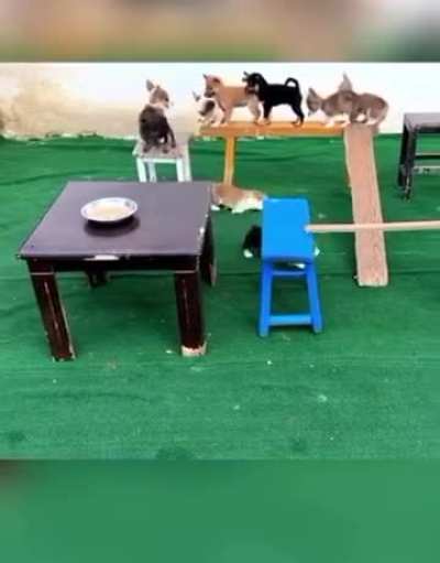 Maybe maybe maybe