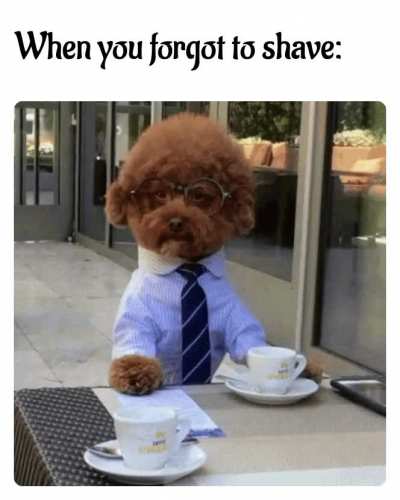 Hairy situation