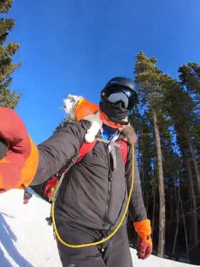 Ski Pawtrol