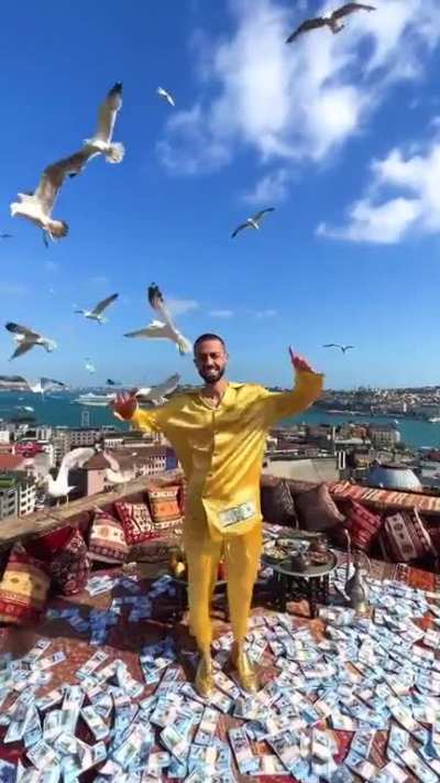 Hey birds, eat my money..