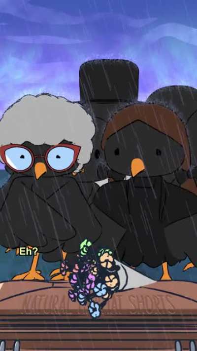 Spooky fact: A group of crows is called a murder, and they are known to hold “funerals” for other fallen corvids?⚰️?