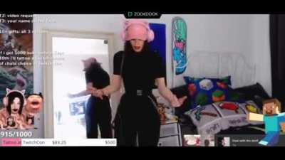 Twitch streamers will do anything for donations