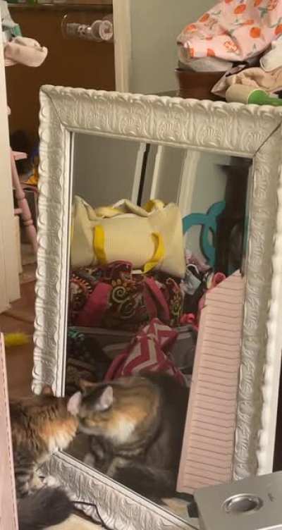 Harley being her normal Harley self.