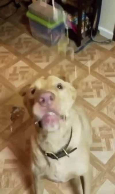 Mmmm.....Cheeese!!!!