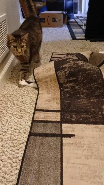Under the rug taps!?