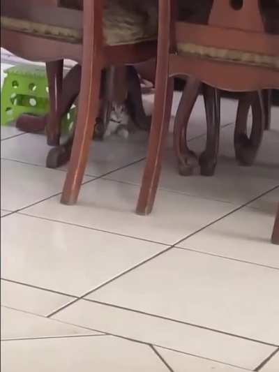 surprise attack