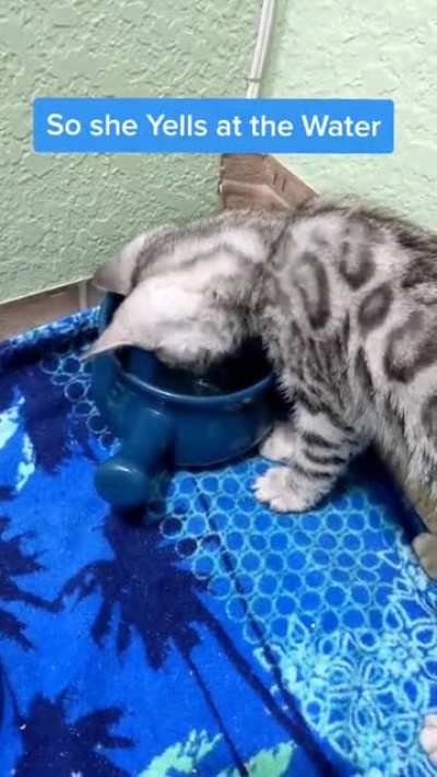 How dare you get me wet!