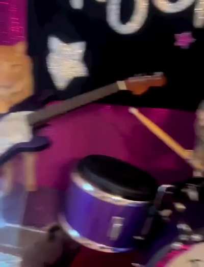 Сat music band