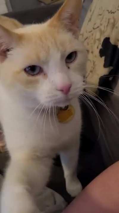 Josè is displeased with the level of attention he's receiving from his co-worker