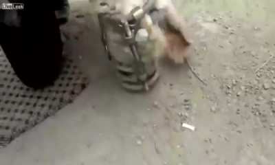Maybe maybe maybe