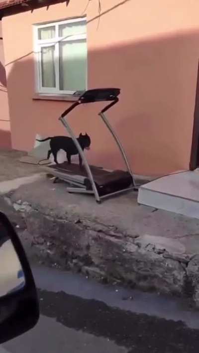 ??