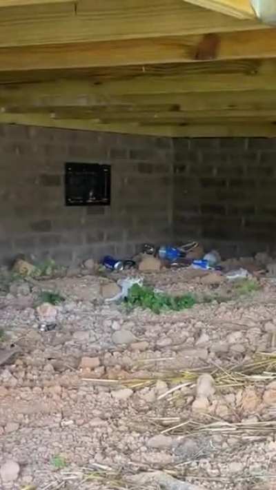 Home Inspection of brand new $500k+ house