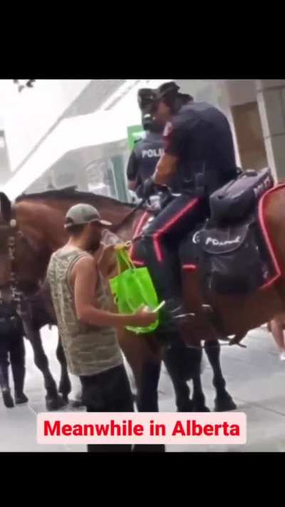 Mmmmh police horse urine