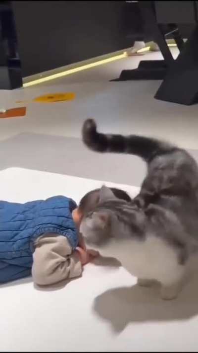 The baby got a cute bodyguard