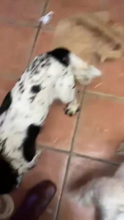 They were left for an hour.