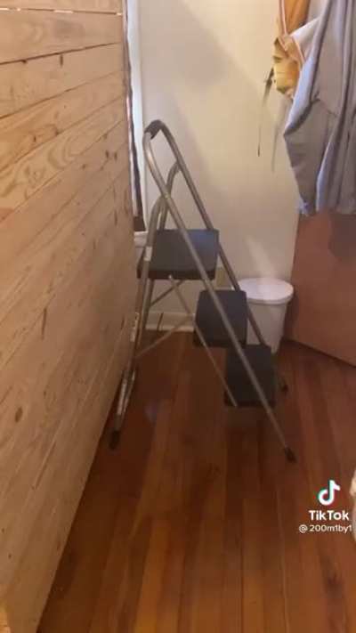 Get that ?️ussy, Sir