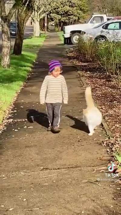 Friendship between a boy and a cat