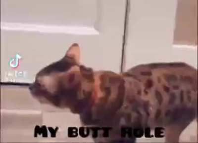 I think he's yelling "I broke my butt hole".