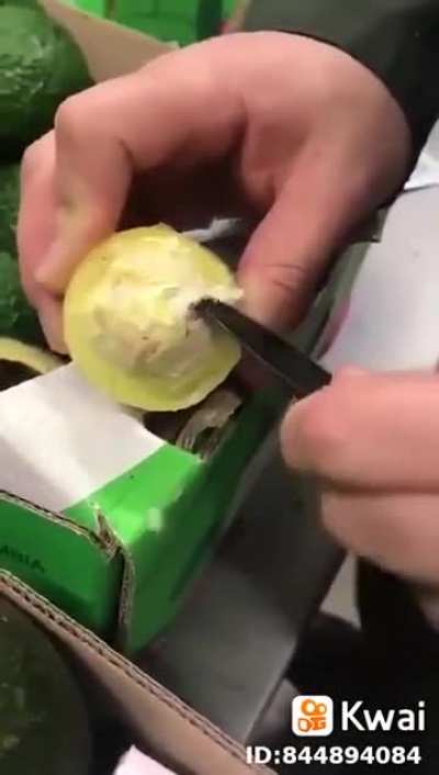 Avocados containing cocaine