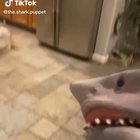 I wasn’t expecting that
