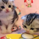 Look who's hungry