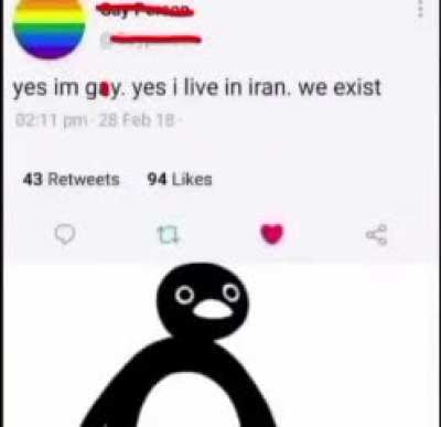 Wait what