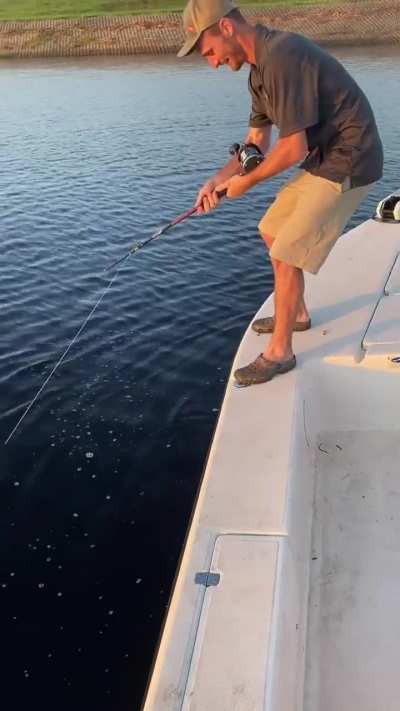 CrazYYY Catch