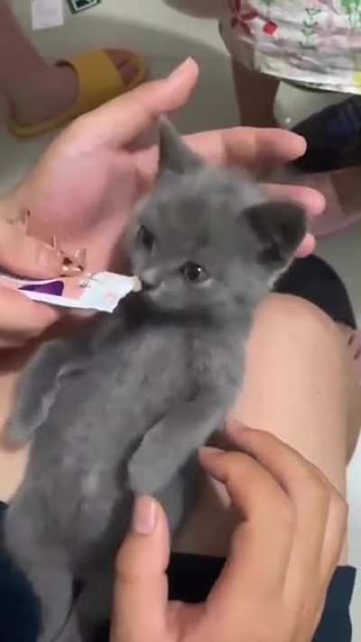 nom nom nom