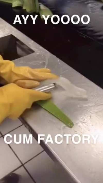Cöøm