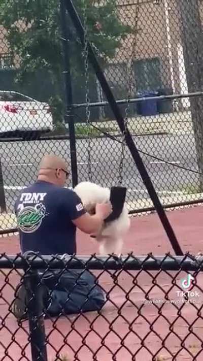 Hero