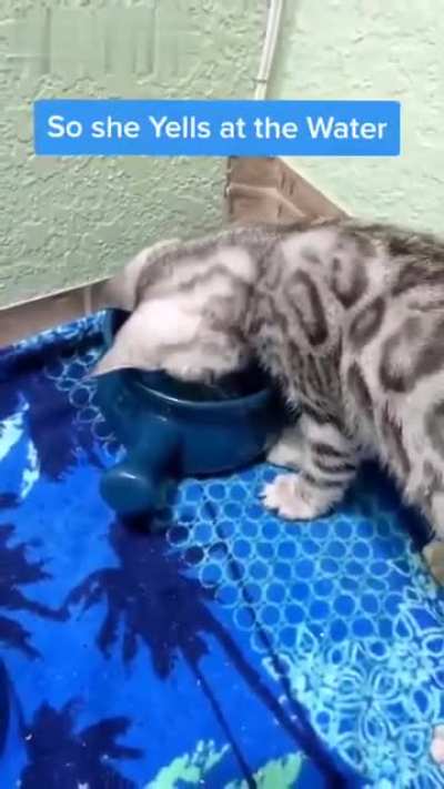 Hey! Stop that!