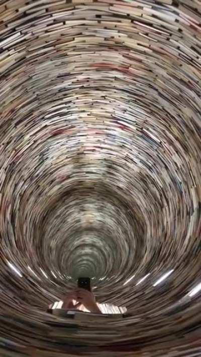 This infinite book tower in Prague. There's a mirror on the bottom and the top of it. It's supposed to represent the infinity of learning.