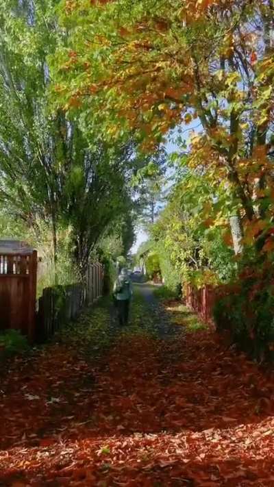 ? Filming a path over the course of a year to showcase the changing seasons
