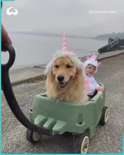 We ride at dawn!