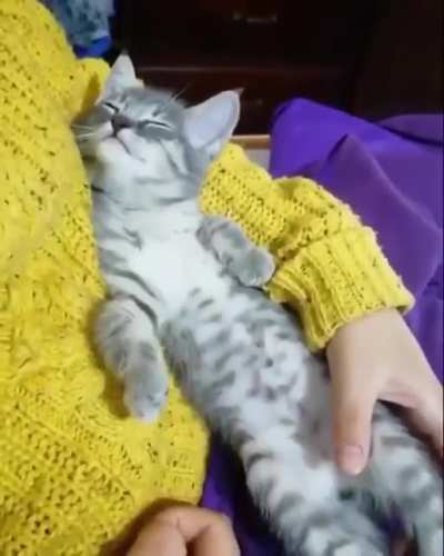 "it's sleeping time? okay.. ZZzzz..."