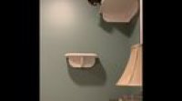 N00b on the cat shelf.