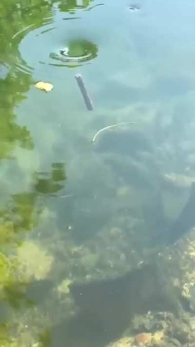 It just sent the stick deep down.