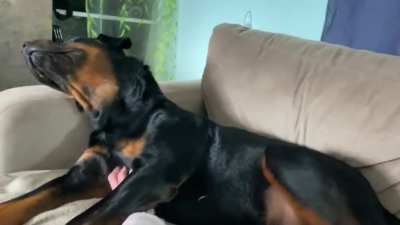 That’s the spot