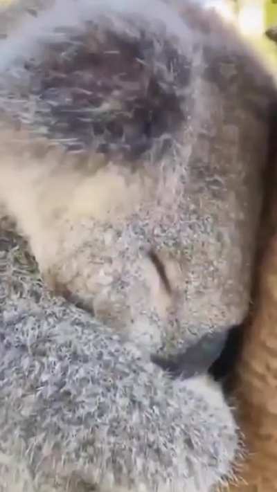 Little baby is sleeping ?? ?