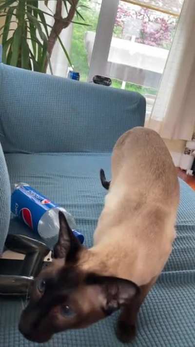 I dunno what he saw