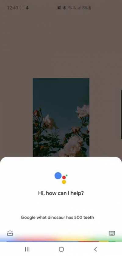 Ok Google