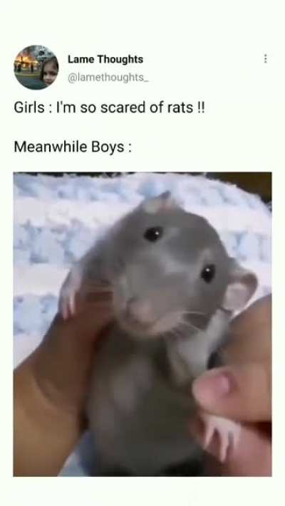 Cringe? or wholesome??