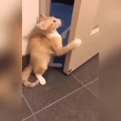 "I didn't know there was someone in here!"