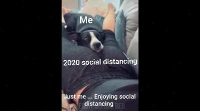 Happy introvert noises