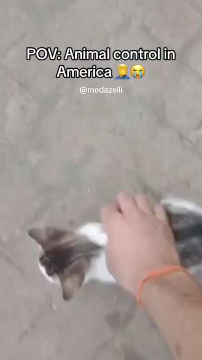 Animal control in America ?‍♂️?
