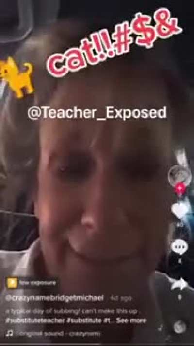 School Teacher says she was fired for not 'meowing' back at student who identifies as a cat