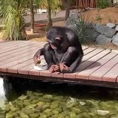 Feedin the fish ??