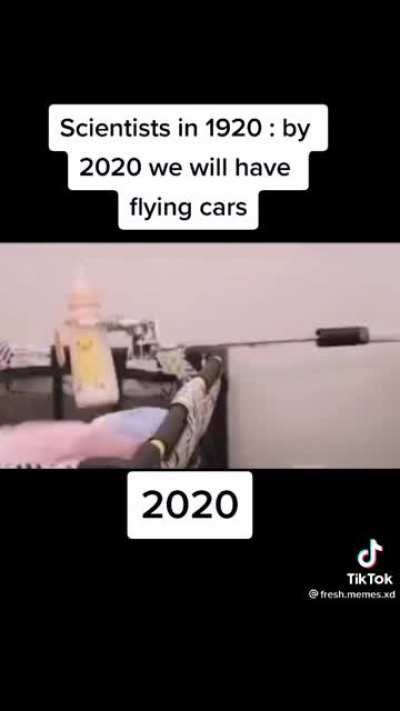 Flying cars they said