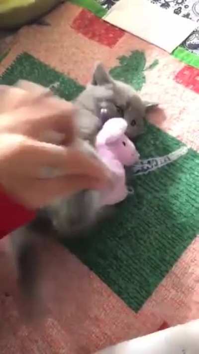 Don’t touch